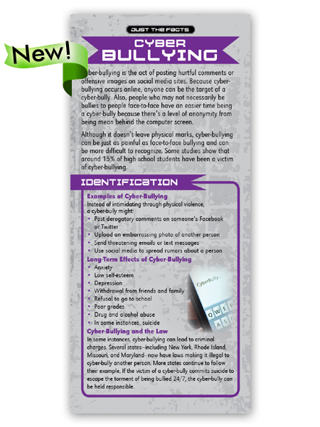 Just the Facts Rack Card: Cyber-Bullying