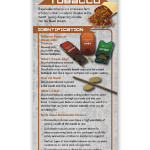 Dissolvable-Tobacco Dissolvable-Tobacco