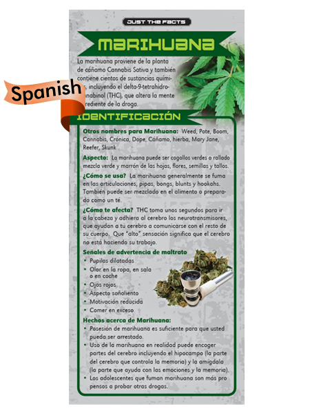 *SPANISH* Just the Facts Rack Card: Marijuana
