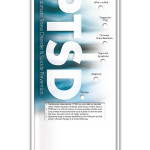 PTSD post traumatic stress disorder PTSD post traumatic stress disorder