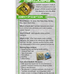 Synthetic-Marijuana-Front Synthetic-Marijuana-Front