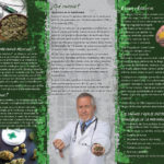 medical marijuana pamphlet