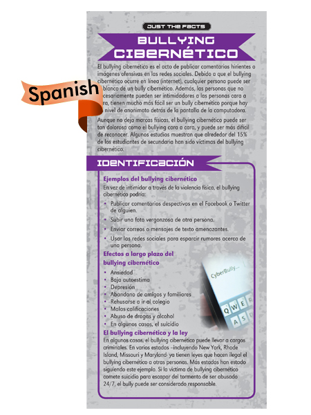 *SPANISH* Just the Facts Rack Card: Cyber-Bullying