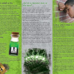 PAM-SSDA-21S-Fake-Weed-SPAN-FLAG