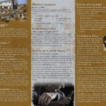 PAM-SSMH-13S-PTSD--SPAN-FLAG