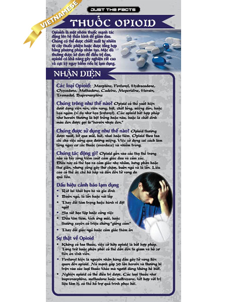 *VIETNAMESE* Just the Facts Rack Card: Opioids