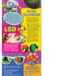 BAN-SSDA-15-Hallucinogens-NEW-FLAG&LADY