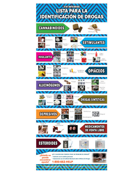 *SPANISH* Drug Identification Chart Retractable Banner