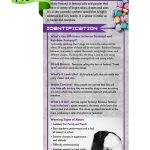 RACK-JTF-98-Rainbow-Fentanyl-front-NEWflag