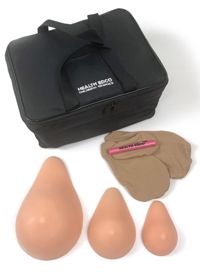 ABC Cup Breast Self Examination Model Set (Beige)